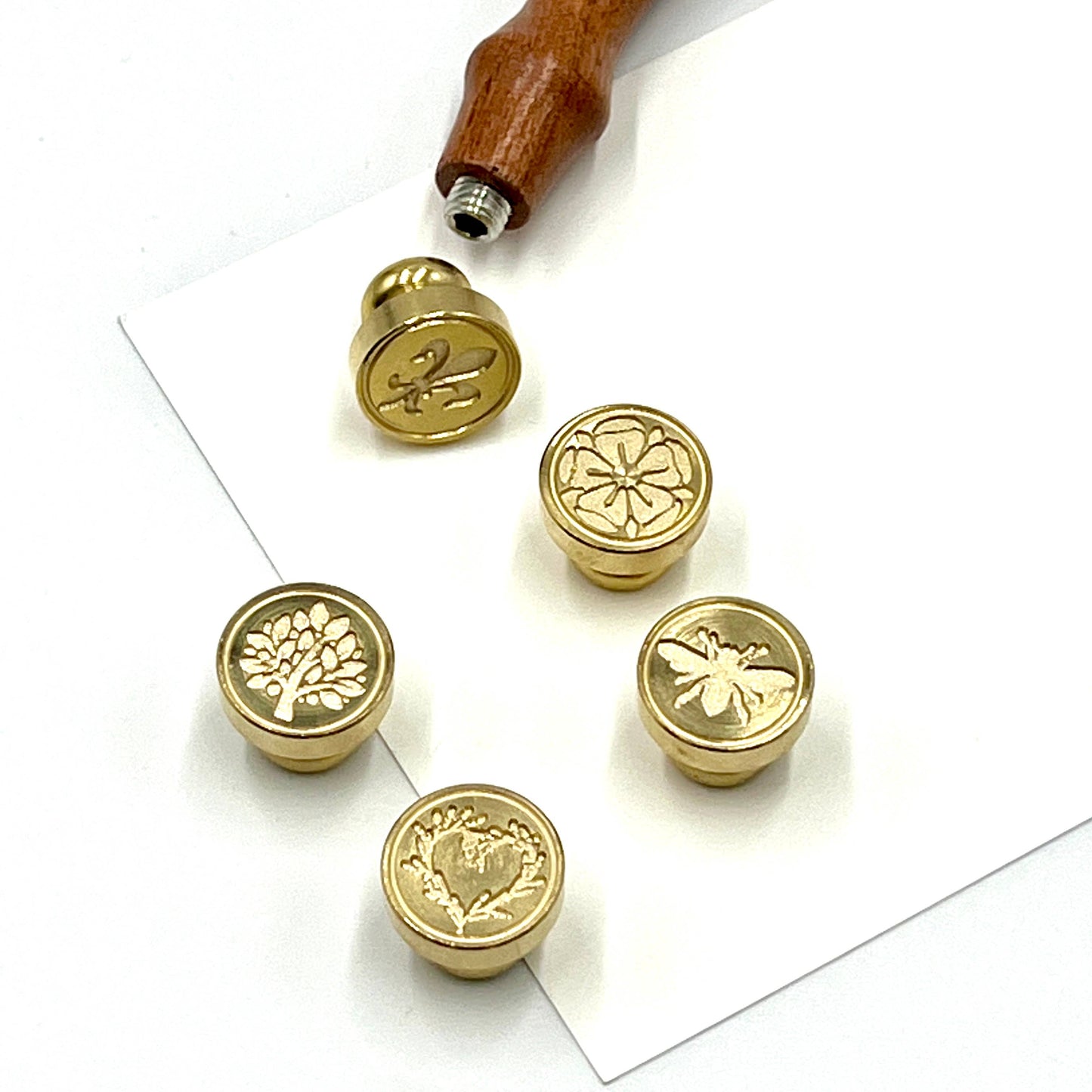 Brass Wax Seal Die - no handle: Sea Shell