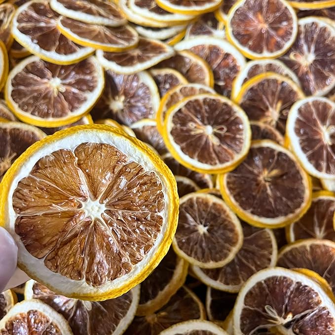 Drink Botanicals - Dehydrated Sliced LEMON Cocktail Garnish Wheels