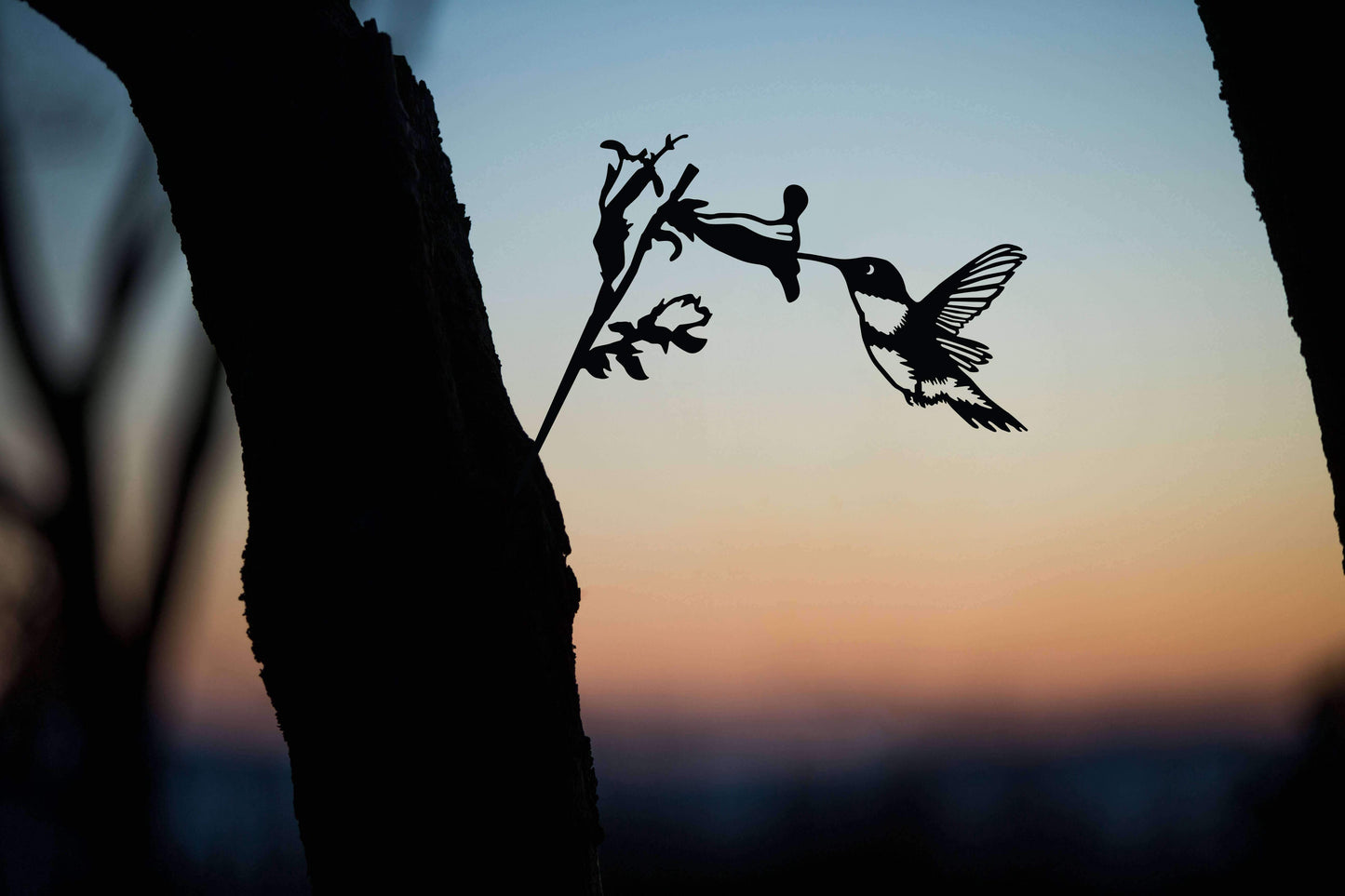 Metal Bird - Hummingbird