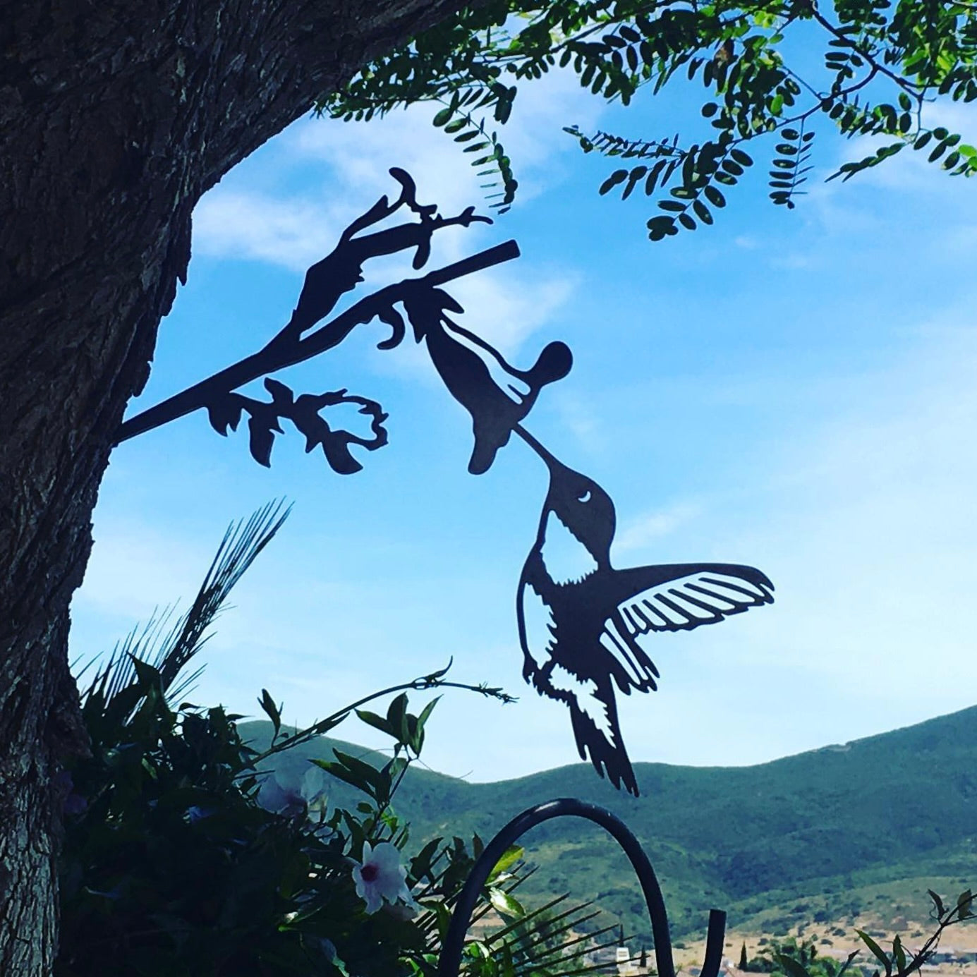 Metal Bird - Hummingbird