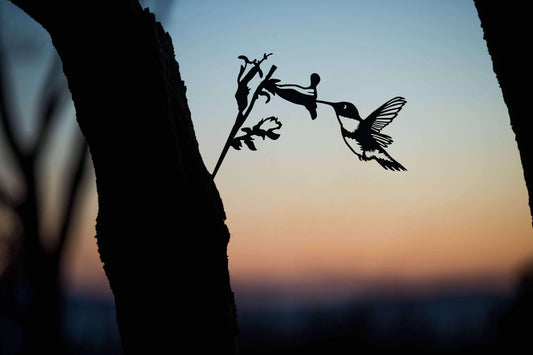 Metal Bird -  Mini Hummingbird