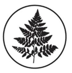 Brass Wax Seal Die - no handle: Fern Leaf